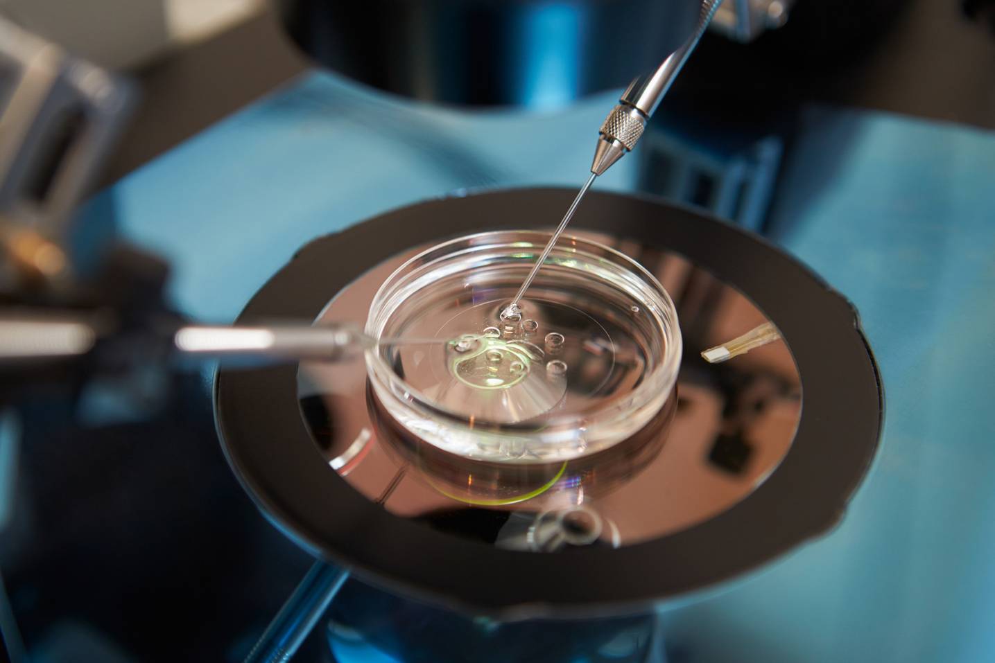 Consulting for fertility treatment