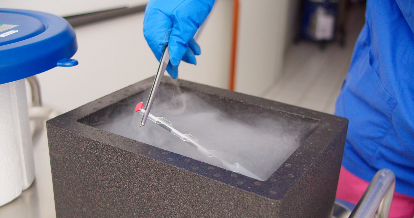 Consulting for fertility treatment