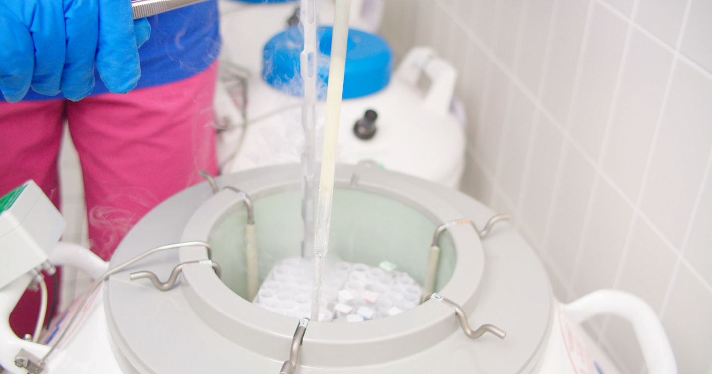 Consulting for fertility treatment